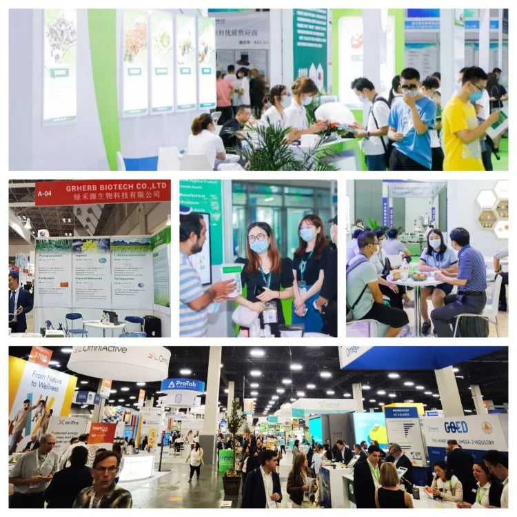 Hot Sale Herbal Supplements Tumeric Root Extract Powder Natural Water Soluble Curcumin Powder 2.5%