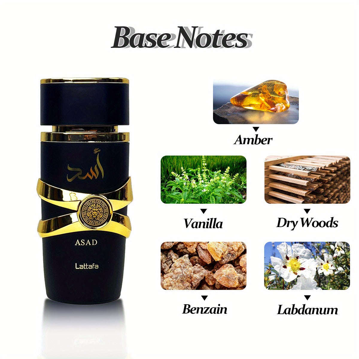 Men's Eau De Parfum Gift Set - Includes 3.4 Oz/ 100 Ml Bottles Of Moi, Tous, And Asad 2024