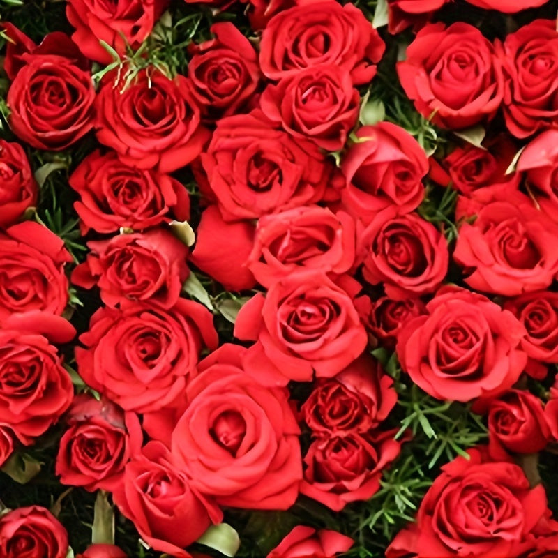 3.4 Oz Red Door Eau De Parfum by LC&HP for Women