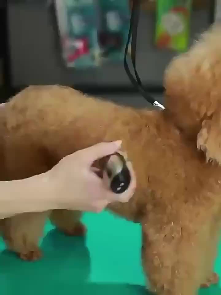 Low-Noise Professional Cordless Pet Grooming Clipper - USB Rechargeable Dog & Cat Hair Trimmer for All Pet Sizes & Hair Lengths - Lithium Battery-18650 Series, Suitable for Cats, Dogs & Human Hair