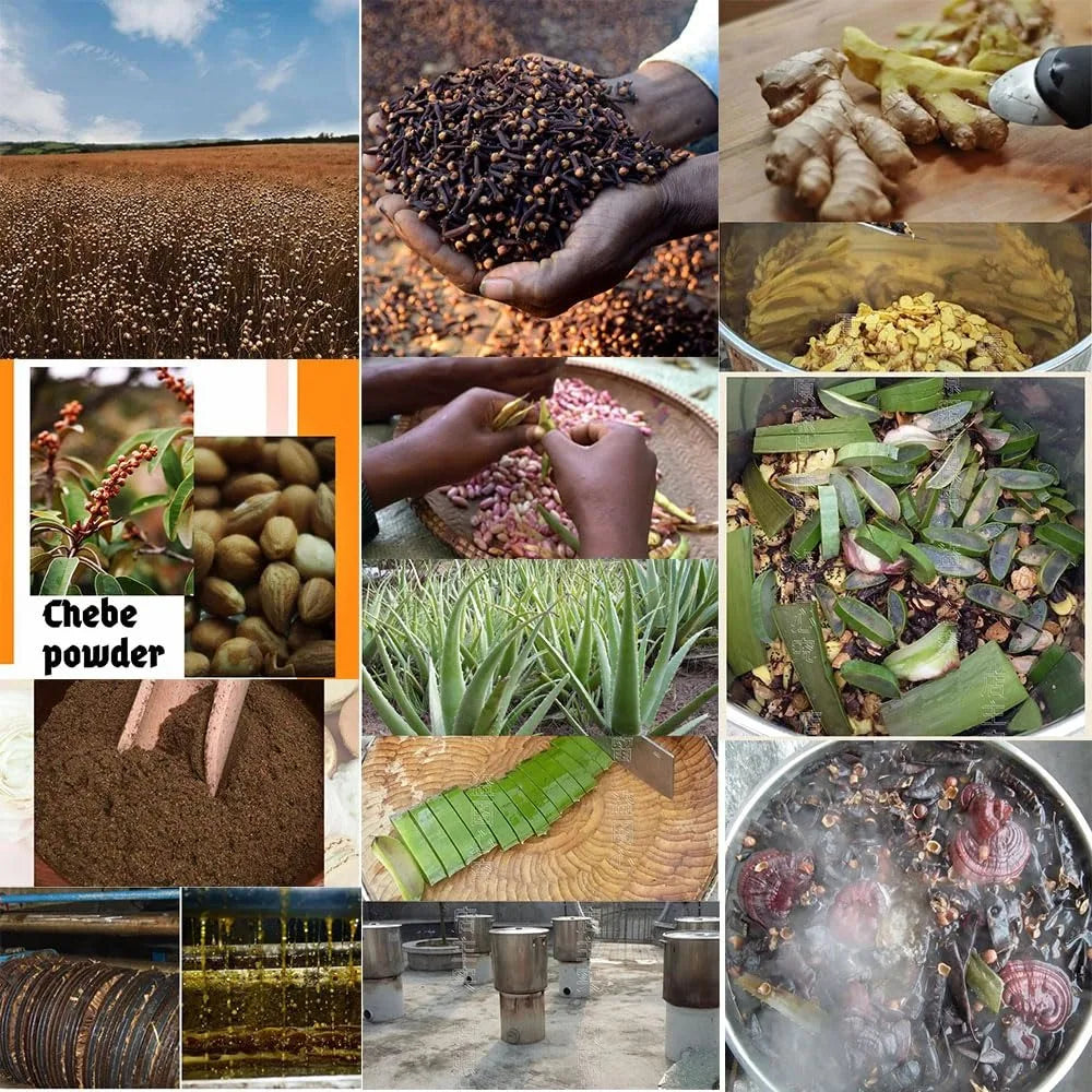 Layden Oil-One Touch to Gorgeous-North African Aloe Vera＆ Chebe Powder＆Moroccan Cloves Scalp & Hair Strengthening