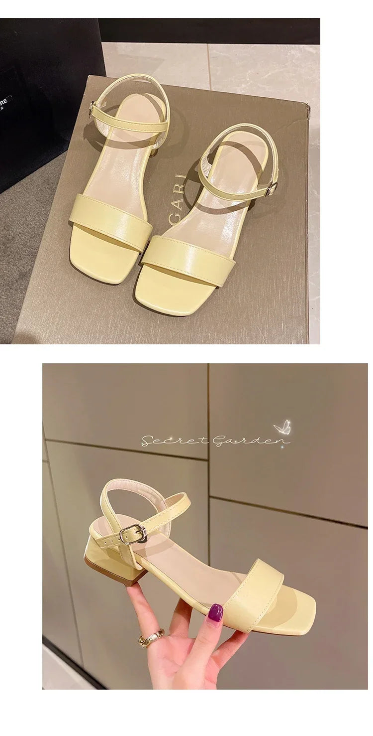 Sandals for women in summer, new thick heeled sandals for women, internet celebrity, gentle one line with buckle, fairy style