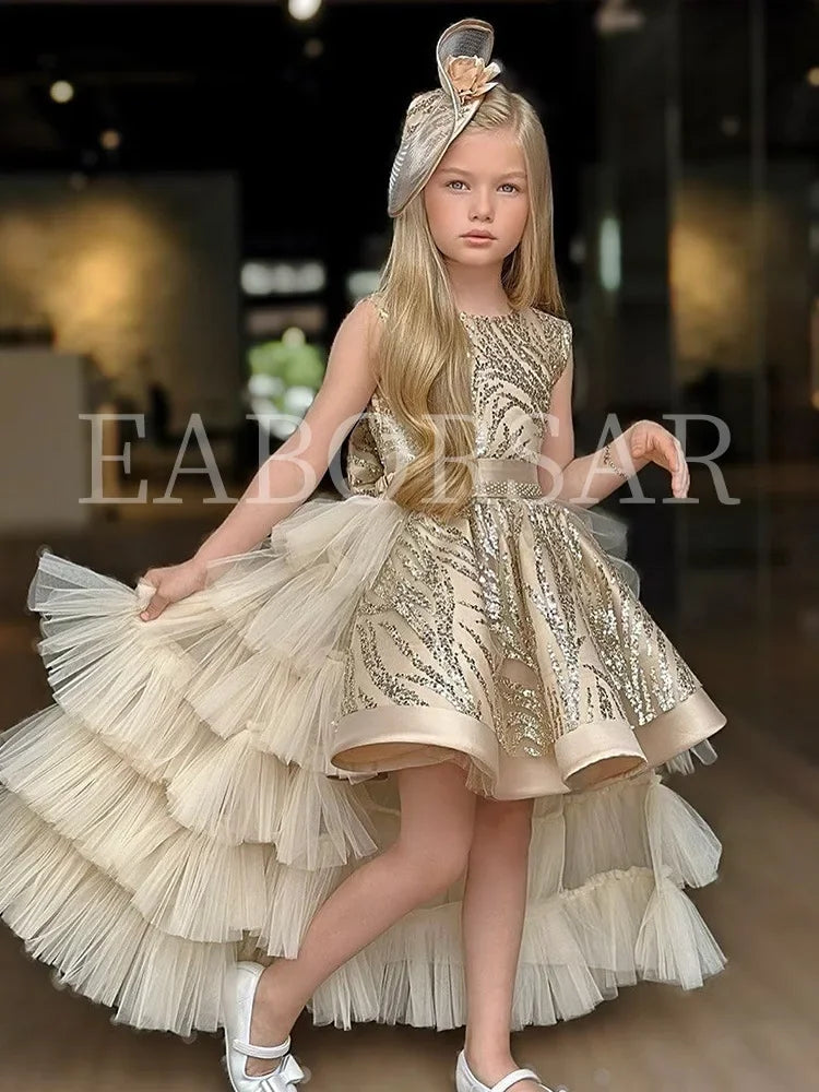 Girl's Princess Dress Cute Party Clothes for Special Events, Adorable Dresses for  Clothes Costumes Birthday Wedding