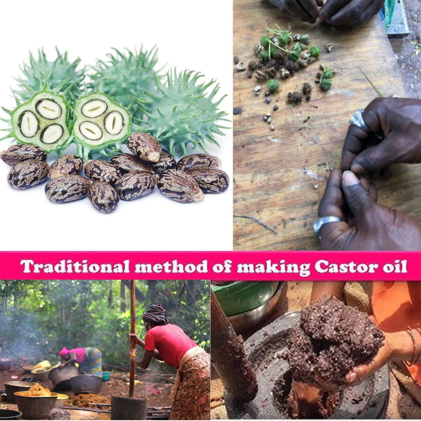 Layden Oil-One Touch to Gorgeous-North African Aloe Vera＆ Chebe Powder＆Moroccan Cloves Scalp & Hair Strengthening