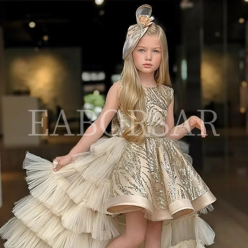 Girl's Princess Dress Cute Party Clothes for Special Events, Adorable Dresses for  Clothes Costumes Birthday Wedding
