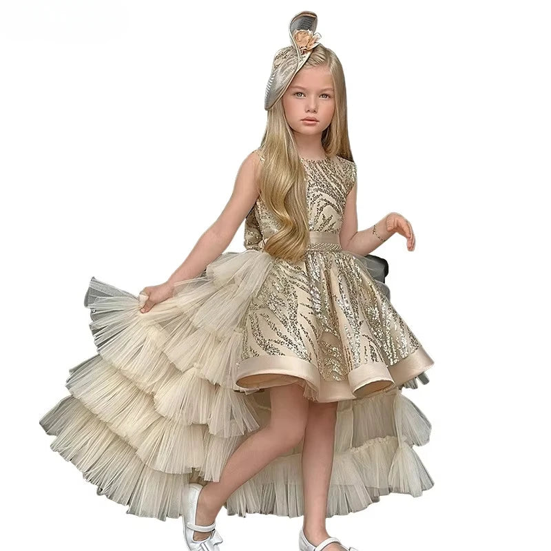 Girl's Princess Dress Cute Party Clothes for Special Events, Adorable Dresses for  Clothes Costumes Birthday Wedding