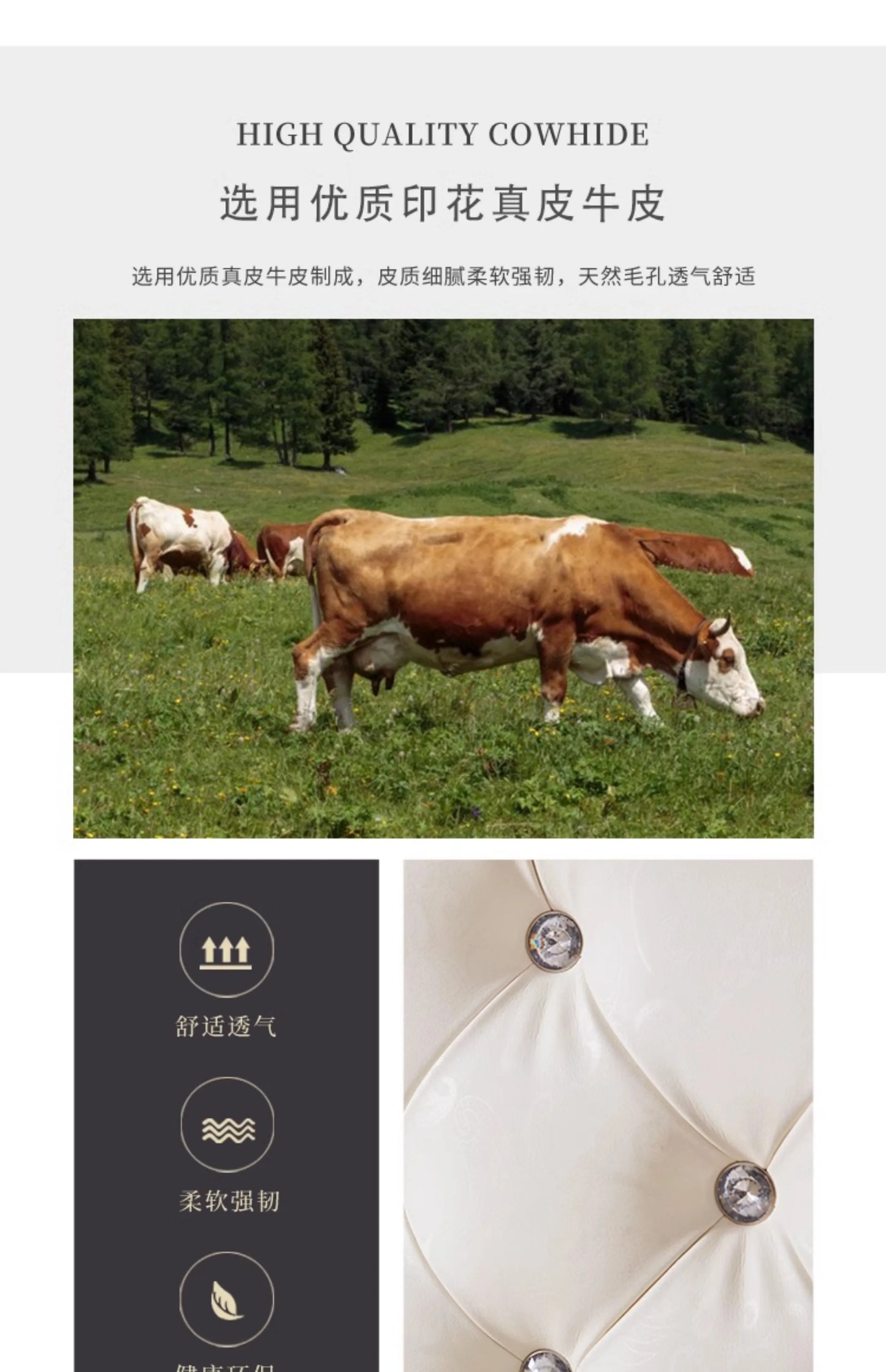 Unique Xenomorph Bed European Luxury Accent Ergonomic Comfortable Trendy Cute Bed Double Princess Cama Solteiro Home Decoration